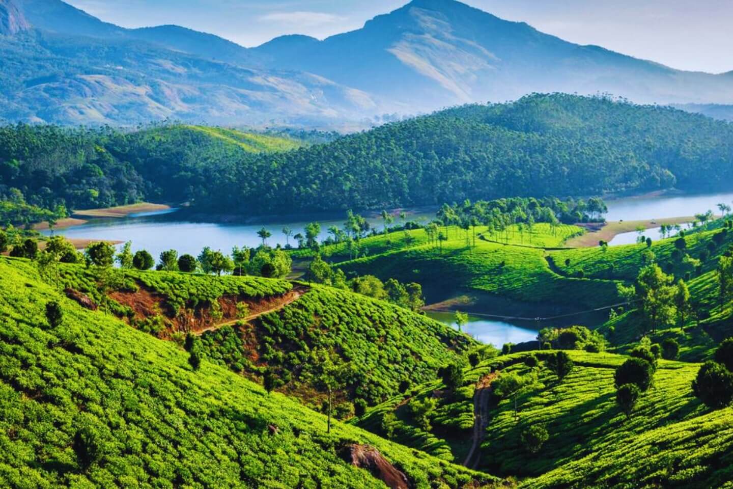 3 Days Kerala Package